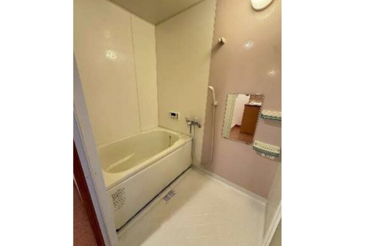 一津屋5丁目中古マンション（2階）画像3